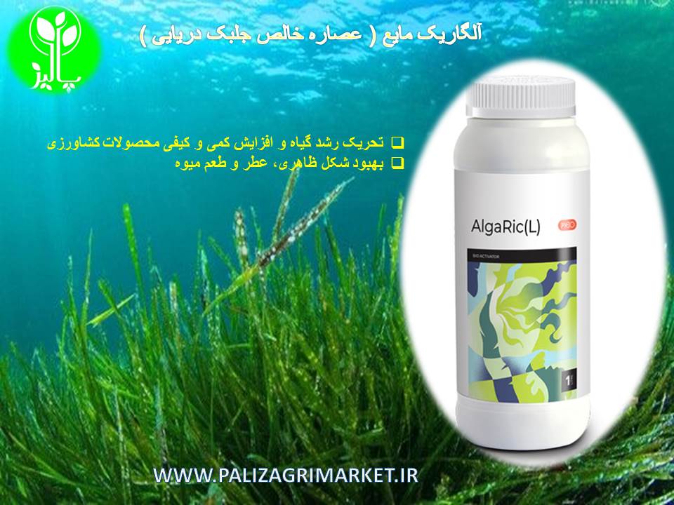 آلگاریک مایع ( عصاره خالص جلبک دریایی ) Rico Fertilizer Products - Image 3