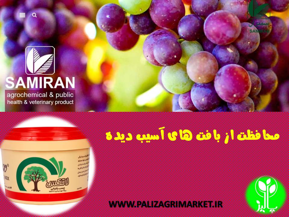 چسب باغبانی لاتکس نیم کیلو - Image 3