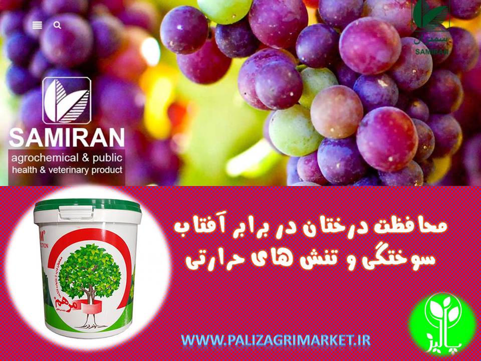 چسب محافظ تنه درختان مرهم - Image 3