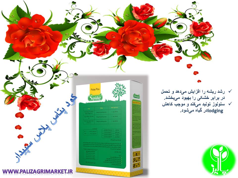 کود پتاس پلاس سپیدار - Image 3