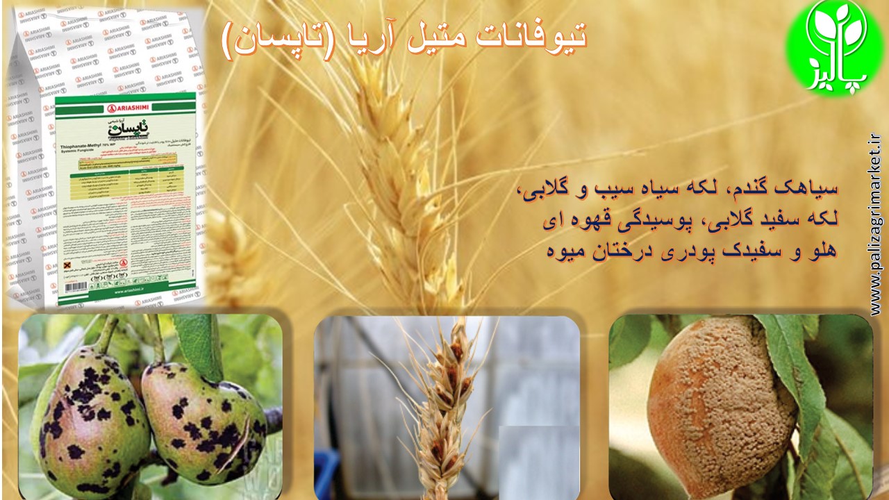تیوفانات متیل آریا (تاپسان) - Image 3