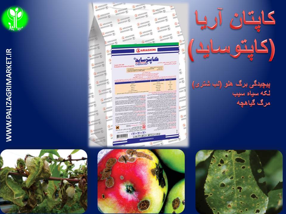قارچ کش کاپتان آریا50%( کاپتوساید) - Image 3