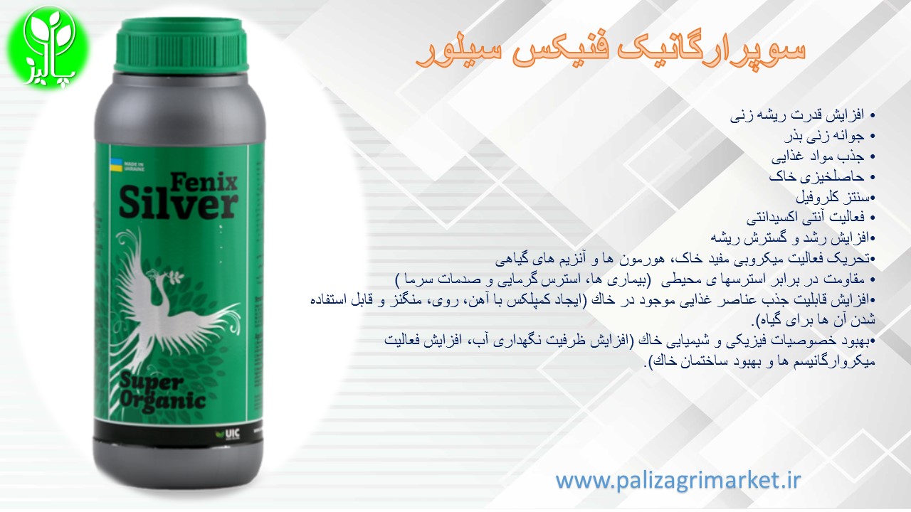 سوپرارگانیک فنیکس سیلور - Image 3
