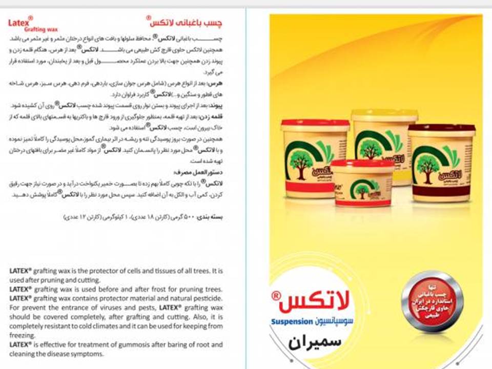 چسب باغبانی لاتکس نیم کیلو - Image 5