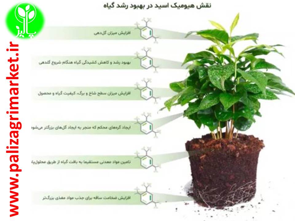 هیومیک اسید هاپیرهیوم ایکس گرین - Image 4