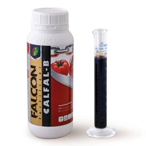 Calfal-600×600