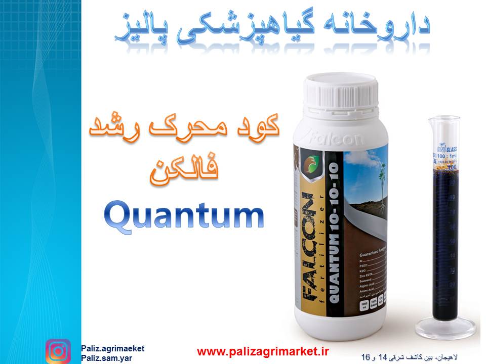 Free ppt 45-Ghalamo (3)