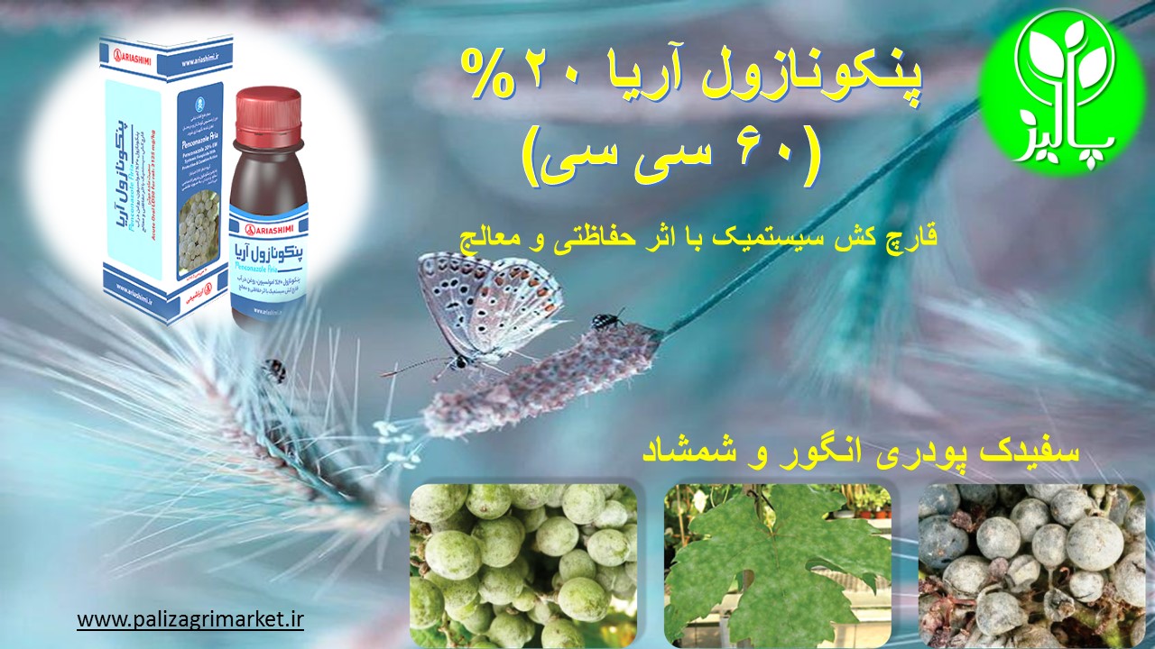 پنکونازول آریا 20% (60 سی سی) - Image 3