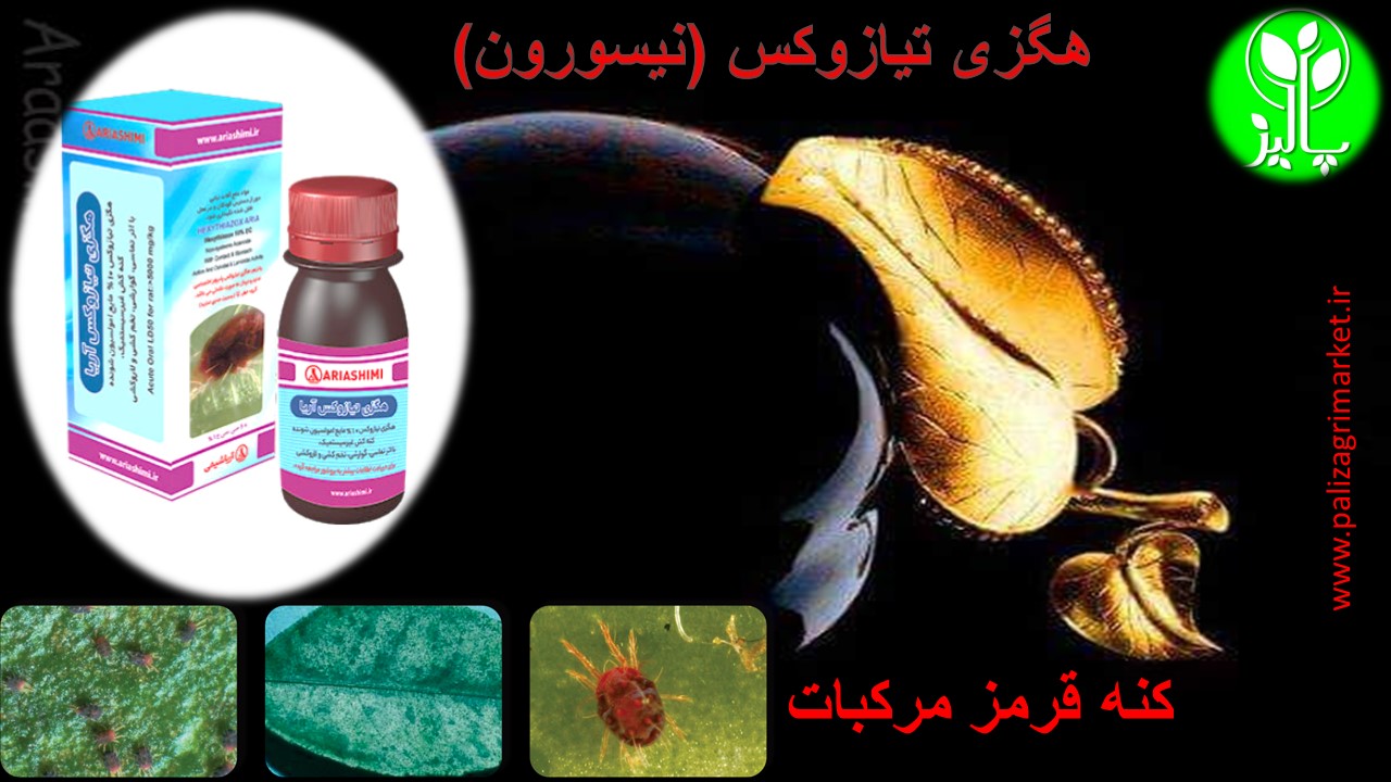 هگزی تیازوکس 10% (نیسورون) 60 سی سی - Image 3