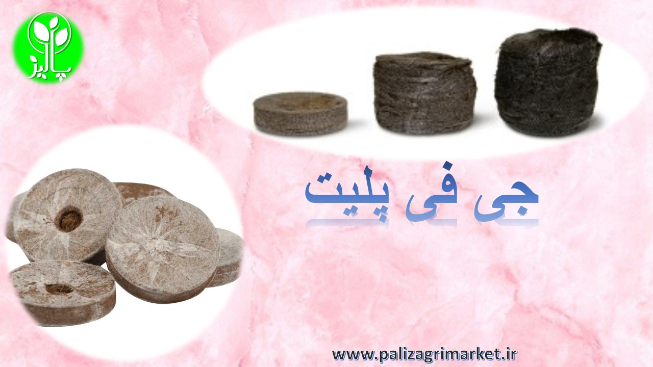 جی فی پلیت - Image 3