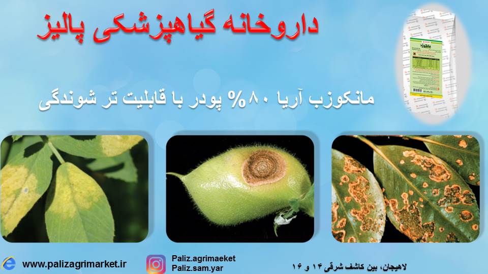 مانکوزب آریا 80% پودر با قابلیت تر شوندگی (100 گرمی ) - Image 3