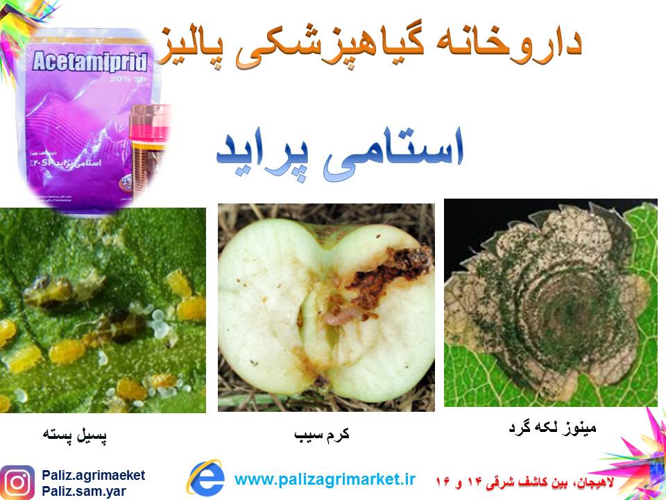 استامی پراید 100 گرمی بهسم - Image 3