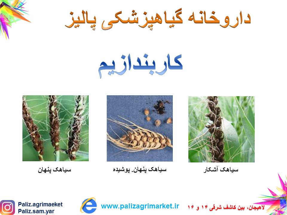 کاربندازیم 100 گرمی بهسم - Image 3
