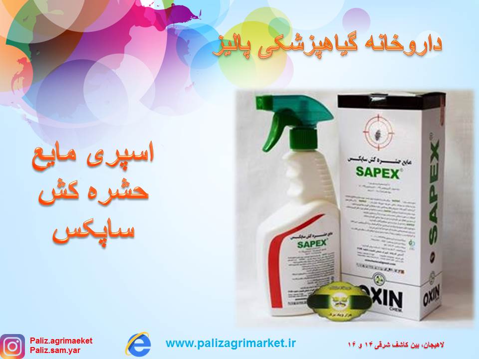 Free-ppt24-ghalamo (3)