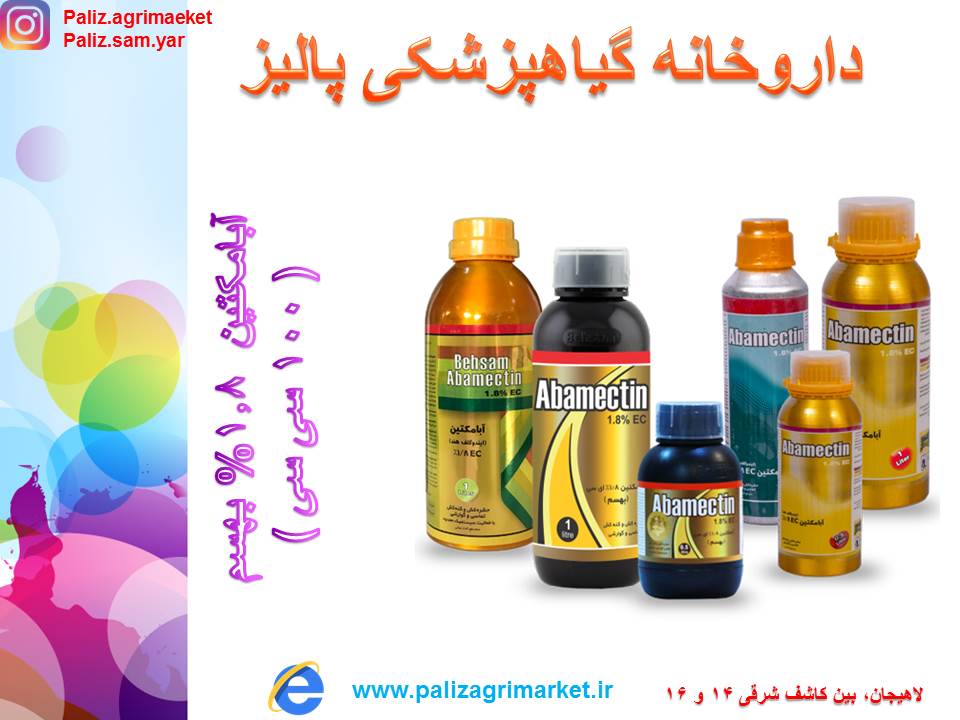 Free-ppt24-ghalamo (3)