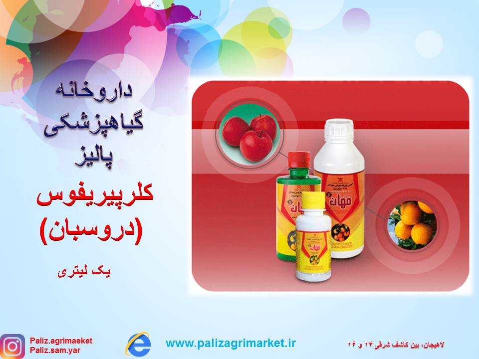 Free-ppt24-ghalamo (3)