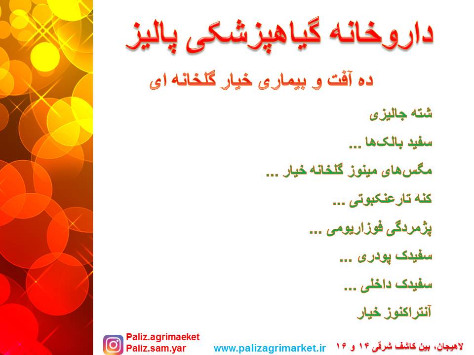 Free-ppt24-ghalamo (2)
