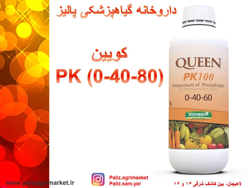 Free-ppt24-ghalamo (2)