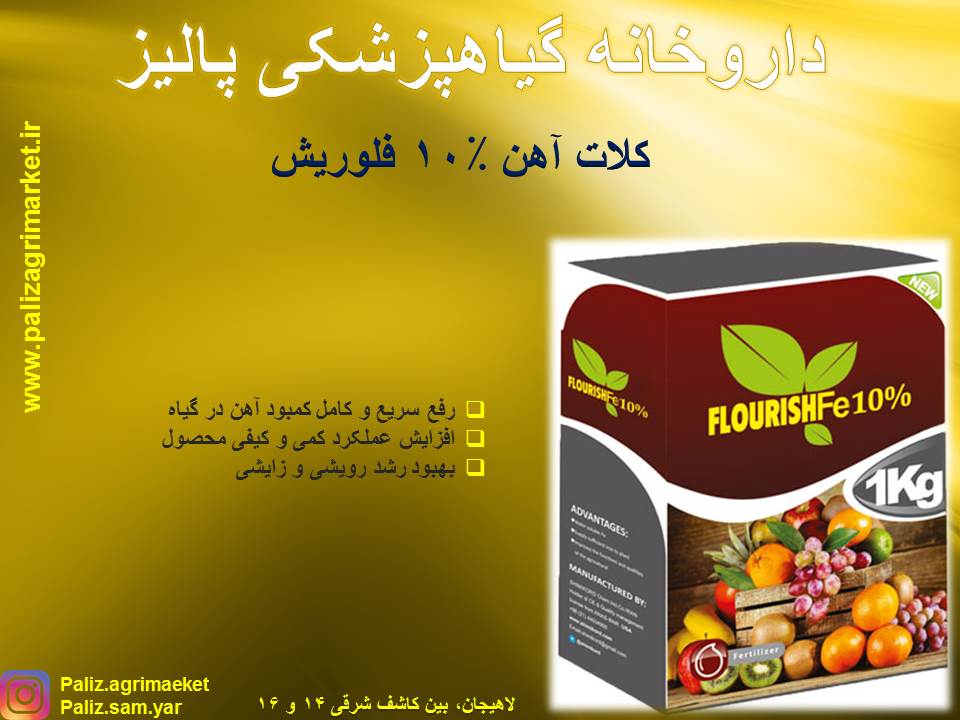 Free-ppt28-ghalamo (3)