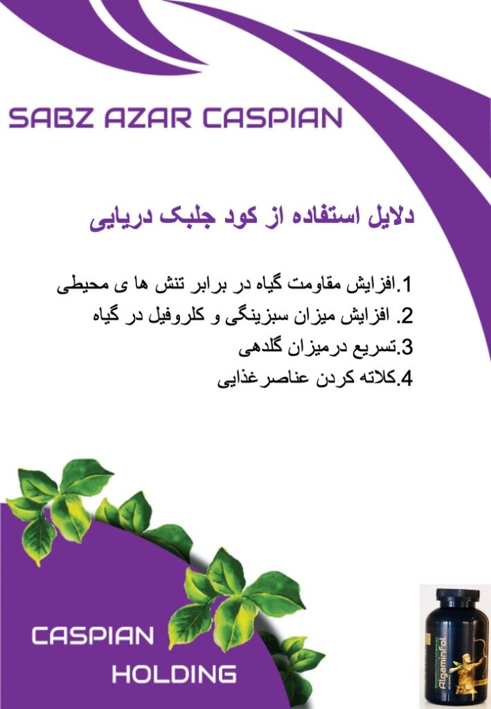(Algamin-Fol) آلگامین فول:ترکیبی از انواع محرک (حاوی جلبک دریایی) - Image 5