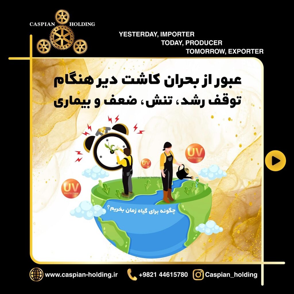 (Algamin-Fol) آلگامین فول:ترکیبی از انواع محرک (حاوی جلبک دریایی) - Image 3