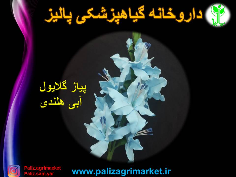 44صث4ص