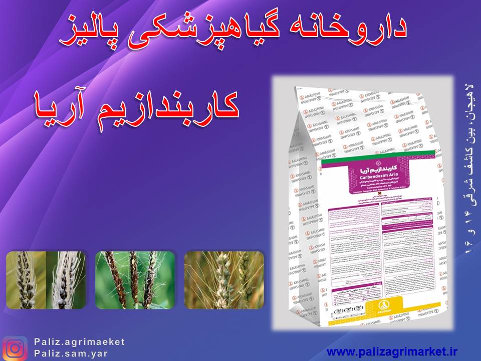 Free ppt 43-Ghalamo (5)