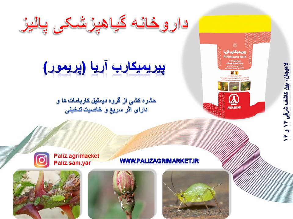 Free ppt 50-Ghalamo (7)
