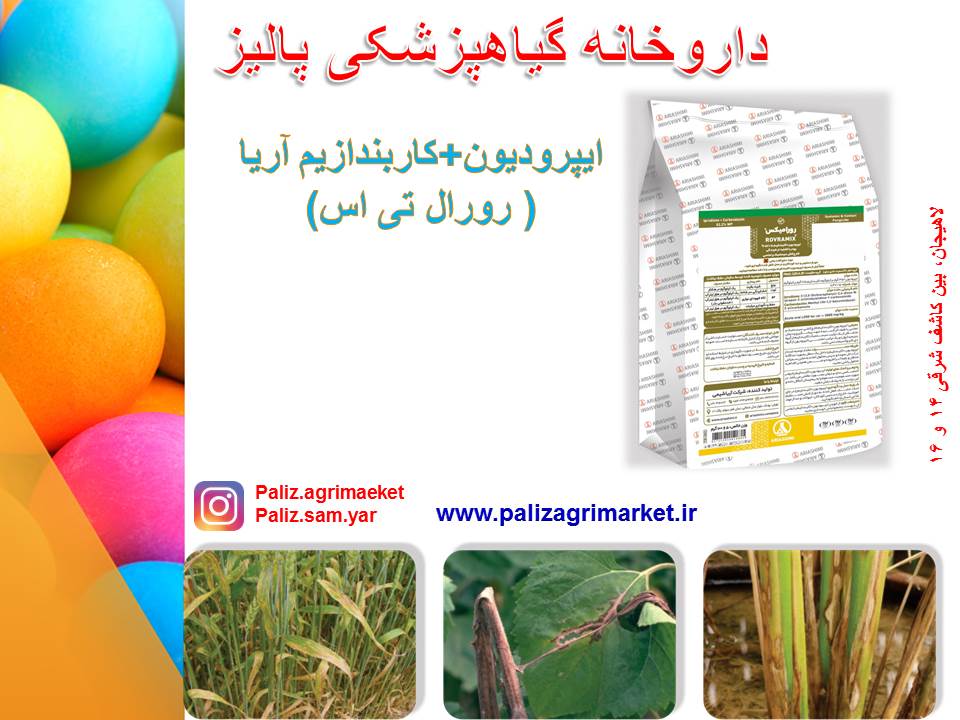 Free-ppt26-ghalamo (2)