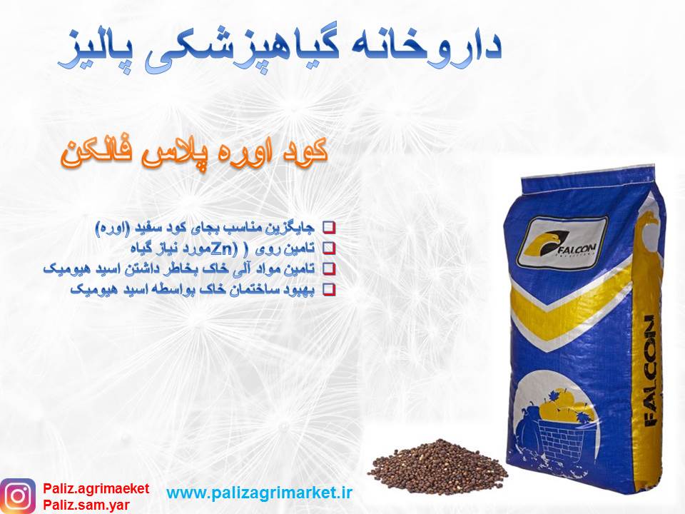 5ختحتخحتنحتن