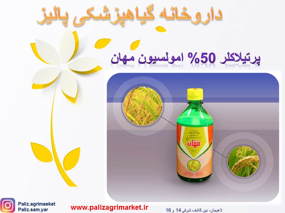 Free ppt 45-Ghalamo (5)