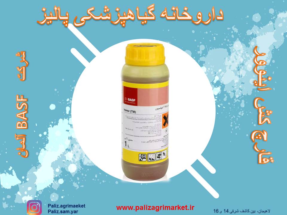 Free-ppt36-ghalamo (1)