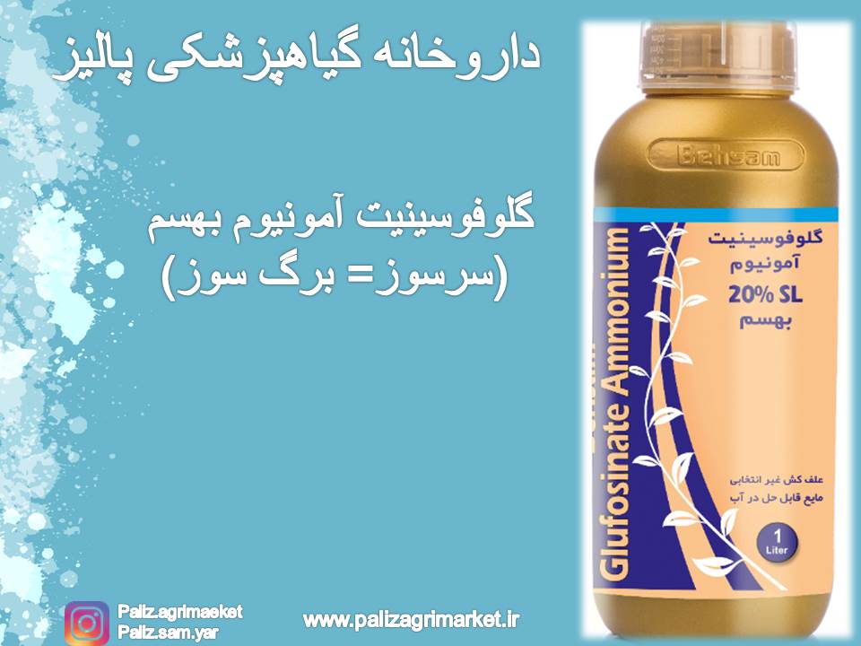 Free-ppt36-ghalamo (1)
