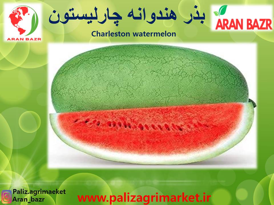 Free ppt 43-Ghalamo (2)