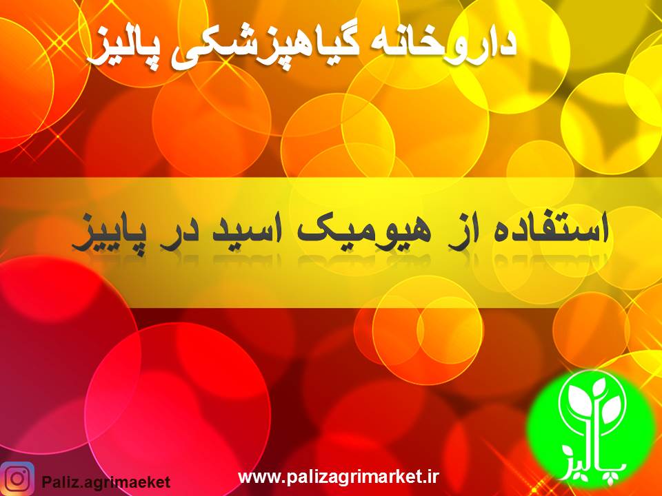 Free-ppt24-ghalamo (2)