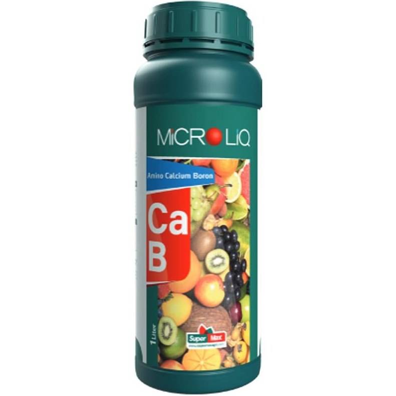 CA – -B