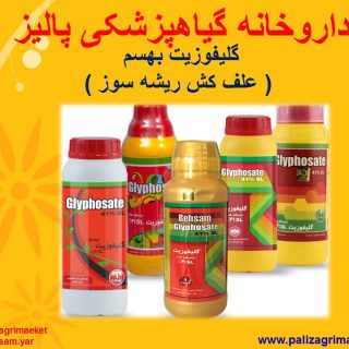 Free-ppt-43-Ghalamo-4-320×320