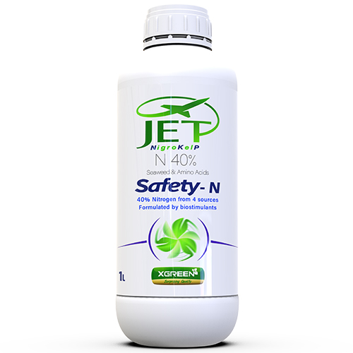 Jet (1)