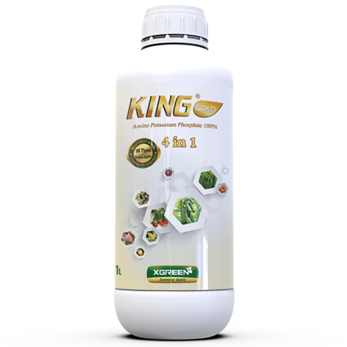 KingGold