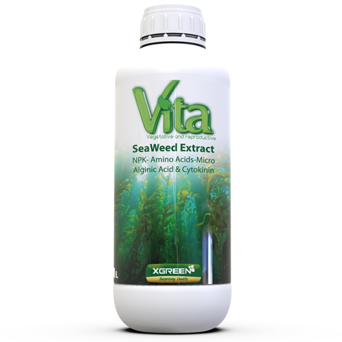 Vita