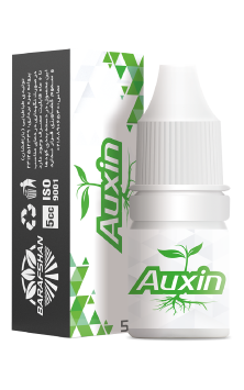 AUXIN