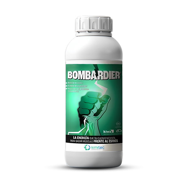 BOMB