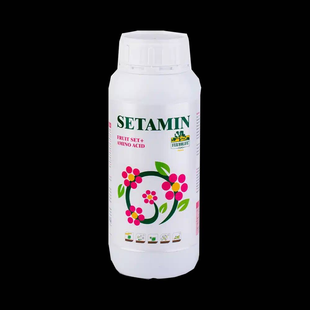 SETMIN-FR