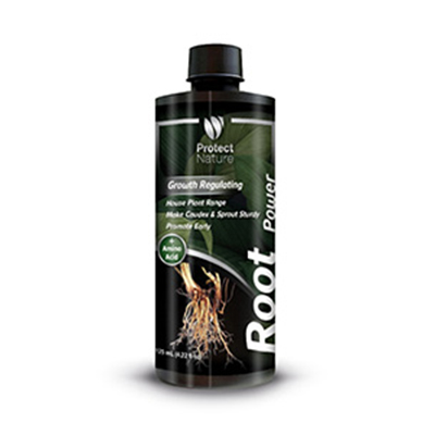 root 1