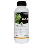 ComplesalFocusKComplesal-TSZ-150×150