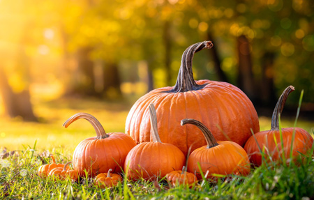 benefits-pumpkin-kids-01