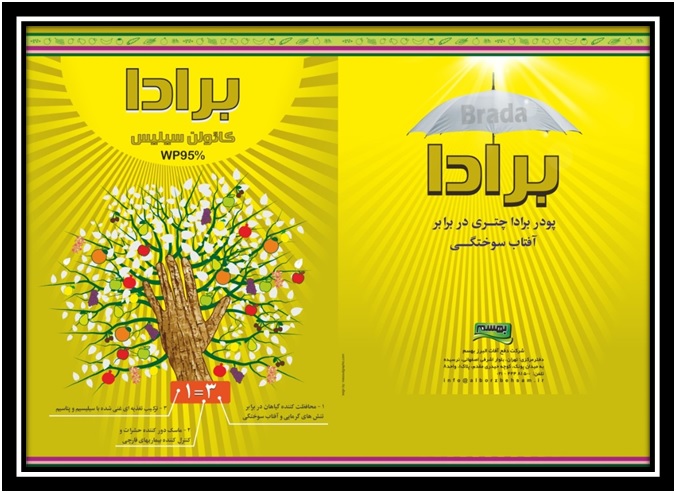 برادا