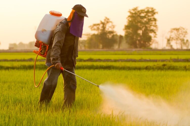 German-crackdown-on-glyphosate-We-must-use-every-opportunity-to-avert-the-worst-effects-on-biodiversity_wrbm_large