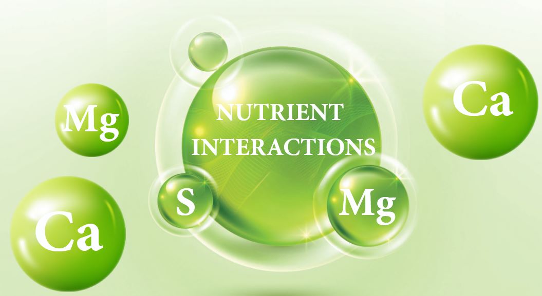 Interaction
