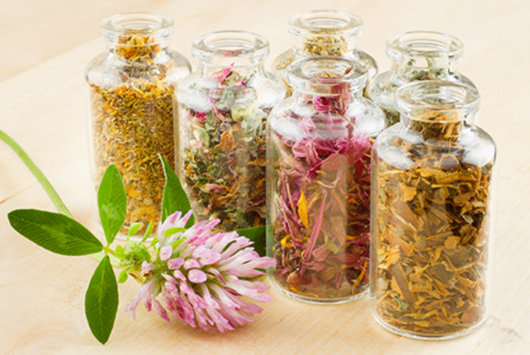 botanical-medicine-tucson-768×515